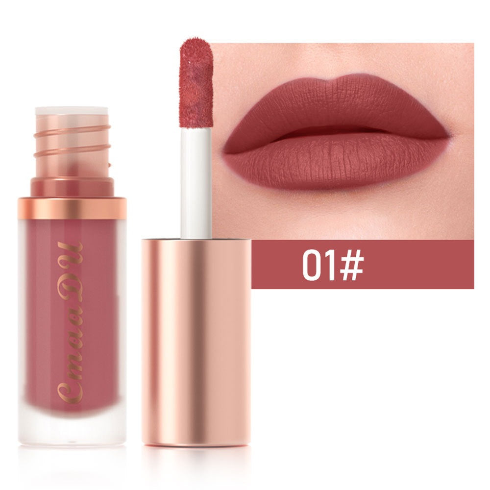 12 Color Velvet Matte Lip Gloss